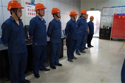 加压百日红 001.jpg