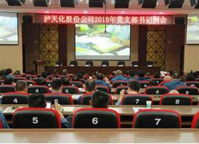 立博体育党委召开支部书记例会部署“大学习 大调研 大落实”活动