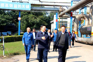 泸州市委副书记市长杨林兴率队到立博体育调研