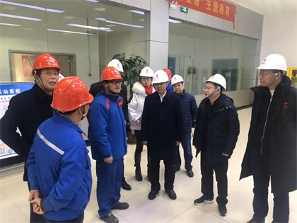 立博体育股份公司党委书记廖廷君率队赴中盐红四方公司及史丹利公司调研