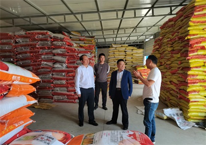 立博体育股份公司党委书记廖廷君带队深入一线开展市场调研