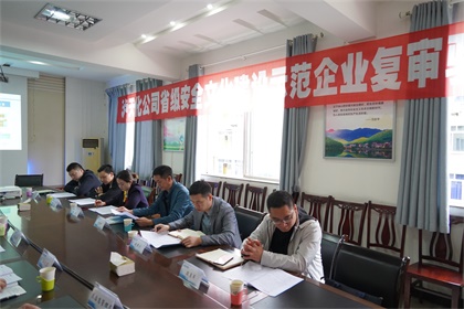 立博体育股份公司通过“省级安全文化建设示范企业”复审验收现场审核