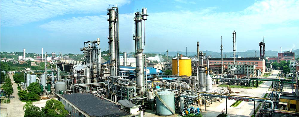 中共委员会关于巡察整改阶段性进展情况的通报  