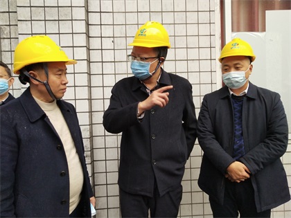 泸州市政府党组成员、副市长葛洪亮一行莅临公司督导大气污染防治工作