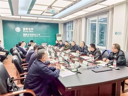 立博体育股份公司到国网泸州供电公司交流