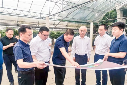 泸州市委常委、组织部长曹斌率队调研立博体育纳溪现代农业种植园项目