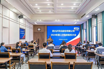 召开2024年第二次临时股东大会