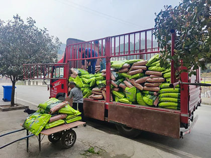 立博体育股份公司“暖心肥”浇灌致富新希望